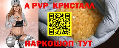 твердый Будённовск
