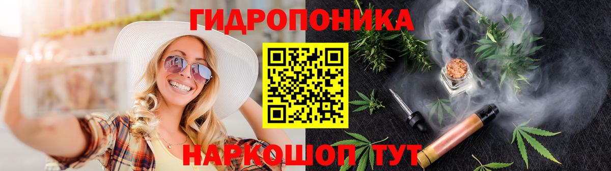 Тихорецк  Бошки марихуана марихуана  Вход с VPN  Марихуана OG Kush  Марихуана Bruce Banner 